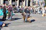 ARRESTATION POLICE 032